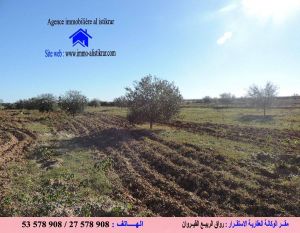  0937 للبيع بالقيروان الخزازية