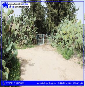للبيع سانية بالقيروان