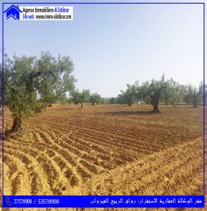 للبيع أرض فلاحية بالخزازية القيروان